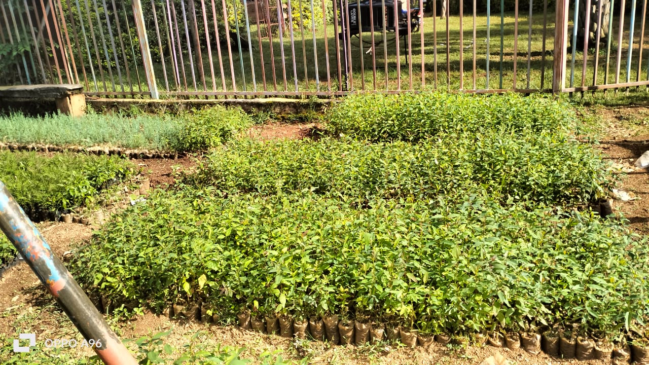 KE-0411-MULWANDA CDC